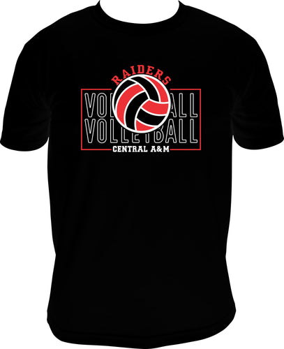 Raider Volleyball #4 Youth Sizes
