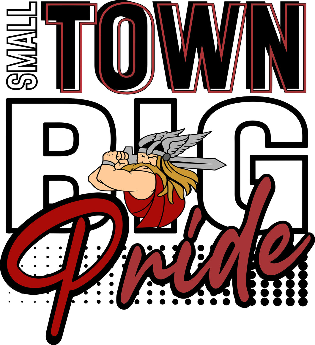 Small Town Big Pride Raiders Tshirts