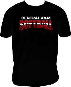 CAM Softball